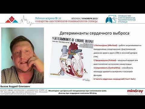 Видео: Инвазив мониторинг в терапии шока Быков А.О.