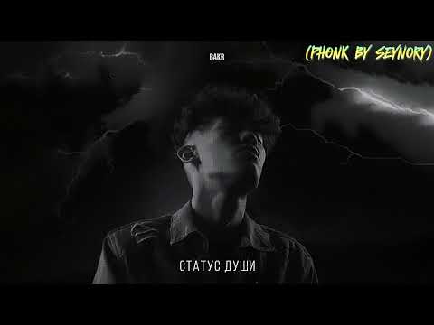 Видео: Bakr Статус души (PHONK BY SEYNORY)