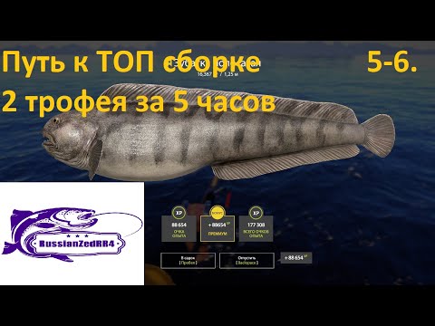 Видео: Путь к ТОП сборке Серия 5 6,  Два трофея на 80 банке за 5 часов