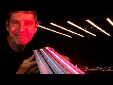 Видео: Как использовать лампы переменного спектра для выращивания растений | Новые Mars Hydro FC6500-EVO...