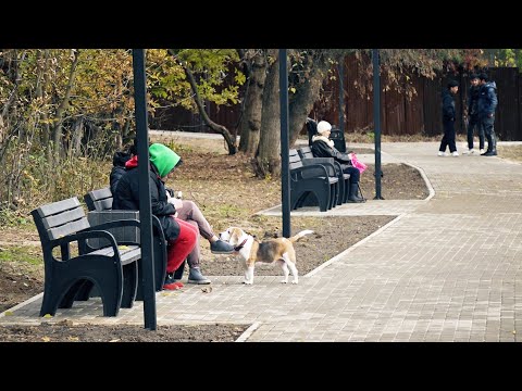 Видео: Пруд в Дедовске изменился до неузнаваемости