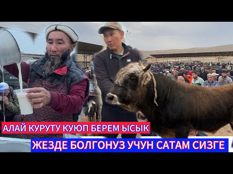 Видео: 02.10.2025ж АРАВАН МАЛ БАЗАРДА МАЛ КОЙЛОР КЫМБАТТАДЫ КАЧАН БАА АРЗАНДАЙТ ЭМИ