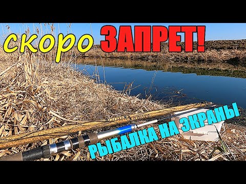 Видео: Последние деньки до ЗАПРЕТА....Рыбалка на ЭКРАНЫ-ТЕЛЕВИЗОРЫ.