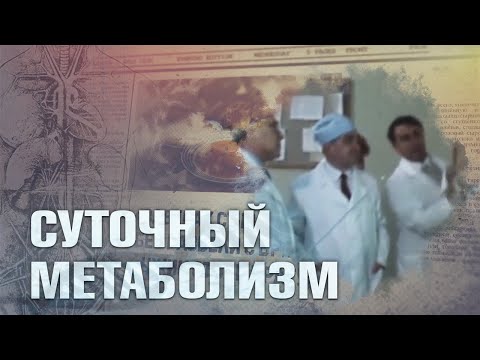 Видео: Как Правильно распределять Пищу в течение дня для Сжигания жира или Набора массы