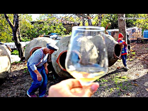 Видео: Что делать если собака закрыла машину. Место где рождаются шедевры Вина Лагвинари