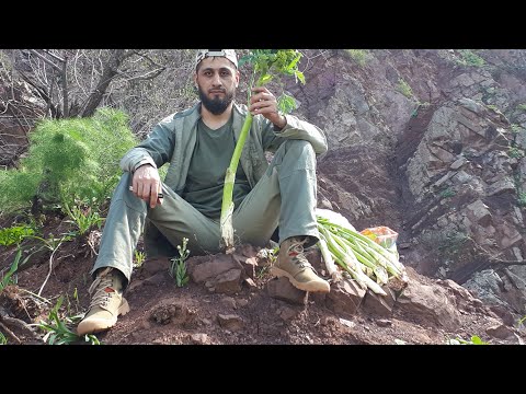 Видео: БАХОР ДАР НОРАК ЧАС-1