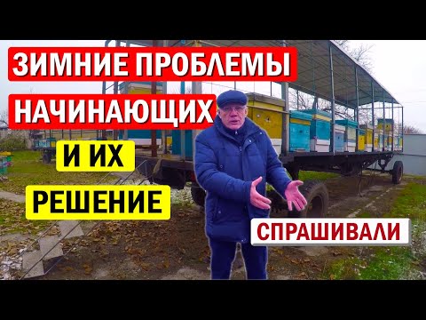 Видео: Зимовка пчел. Основные зимние Проблемы пчеловода и их решение!