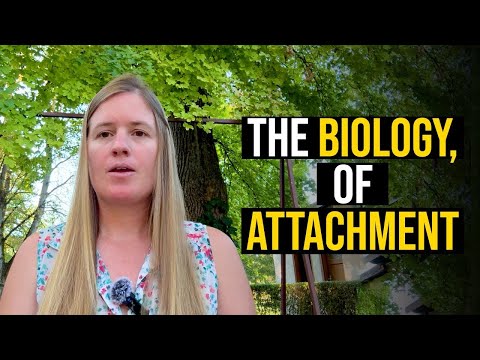 Видео: Нейробиология нежелательной эмоциональной привязанности | Рэйчел Слоун