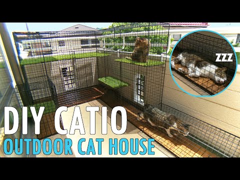 Видео: DIY - Строить "Мою кошку" в доме на открытом воздухе!!! CATIO - Патио для кошек !