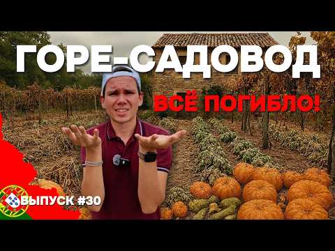 Видео: Урожая больше нет!😱 Оставил огород в Португалии без присмотра на месяц | Дом в Португалии. Выпуск 30