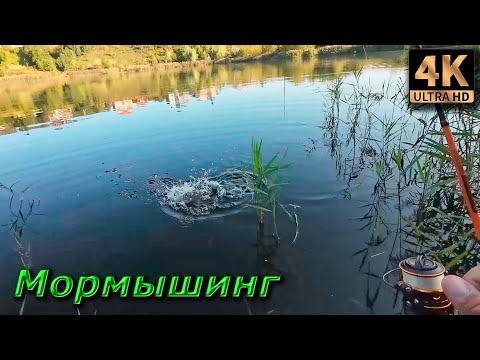Видео: Мормышинг. Фазантейл с флюоресцентной головой...