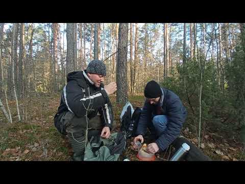 Видео: грибной ноябрь 2025🪣😀Могилевская обл/Бобруйский р-н/Беларусь!