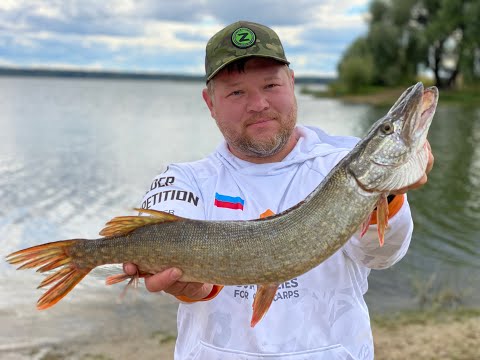 Видео: Рыбалка на Рузе, в поисках хищника. Рузское водохранилище.