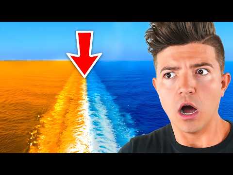 Видео: Видео с НЕОЖИДАННОЙ развязкой...