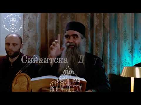 Видео: Отац Рафаило Духовна терапија #manastirpodmaine #pravoslavlje #светописмо #беседеподмаине