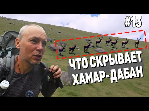 Видео: Что СКРЫВАЕТ Хамар-Дабан? По следам группы КОРОВИНОЙ. Перевал АНИГТА. 200 км в одиночку. Серия 13
