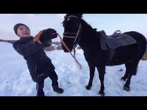 Видео: покатушки на лошади.