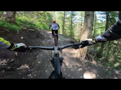 Видео: 2024 07 14  Белка в Колесе. XC трасса