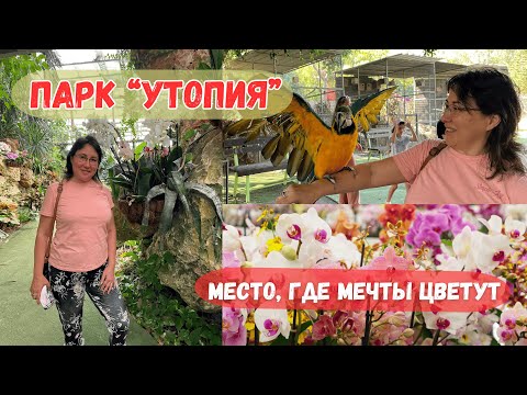 Видео: Парк орхидей «Утопия»: райский сад из мечты
