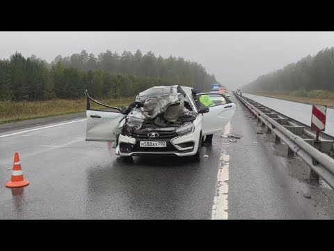 Видео: Отправил друга из Весты с невестой и родителями на больничные койки
