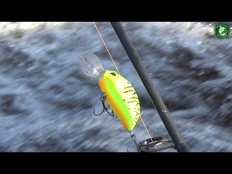 Видео: ЭТА НЕПРИЯТНОСТЬ НЕ ПОМЕШАЛА НАДУБАСИТЬ РЫБЫ! РЫБАЛКА НА РЕКЕ ТАВДА, ОКТЯБРЬ, СПИННИНГ, ДОНКИ, ФИДЕР