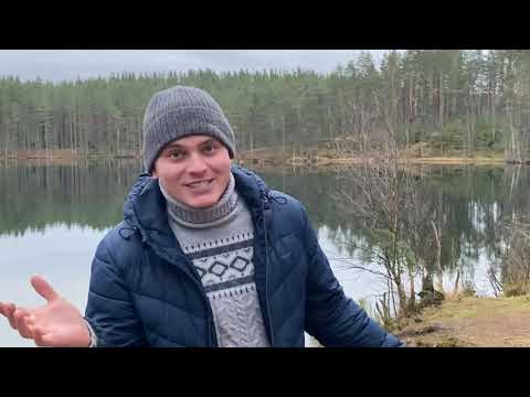 Видео: Ремонт BMW E46 с двигателем М54 B30