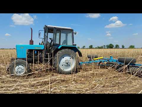 Видео: Каткуем подсолнечник,  КЗК 6 с мтз 82.1 вместо рубящего котка