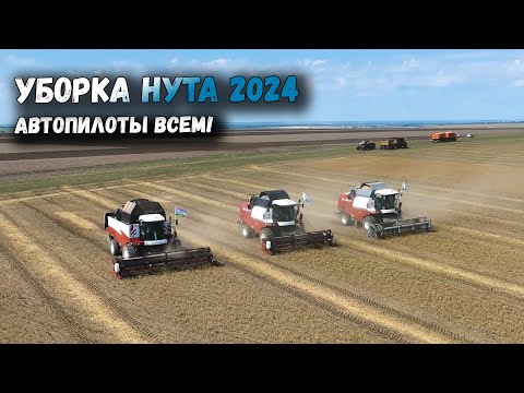 Видео: УБОРКА НУТА 2024. И СНОВА ПОЛОМКА КОМБАЙНА АКРОС 585