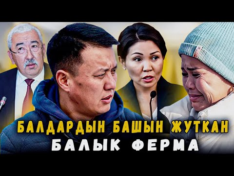 Видео: Балдардын башын жуткан балык ферма | 1-БӨЛҮМ | Улукбек Карыбек уулу