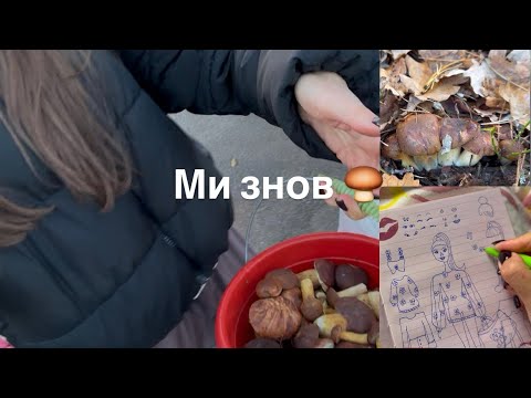 Видео: Грибочки, сільпо, гра Сашульки)