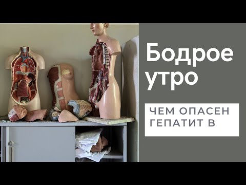 Видео: Бодрое утро. Гепатит B. 08.04.2022