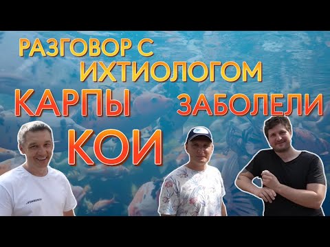 Видео: Болтаем о рыбах с ихтиологом Павлом и Георгием с канала @Raritetplants
