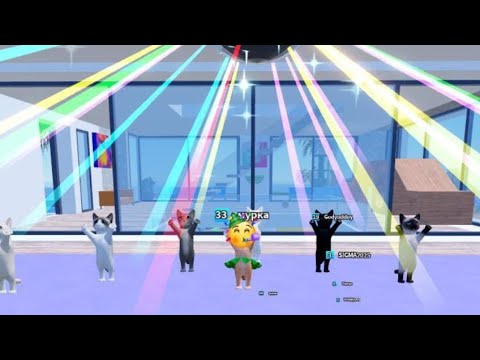 Видео: Дурдомчимся в игре котята.