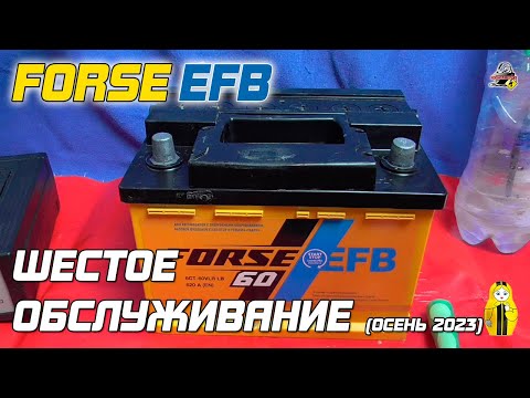 Видео: FORSE EFB - ШЕСТОЕ ОБСЛУЖИВАНИЕ (Осень 2023)