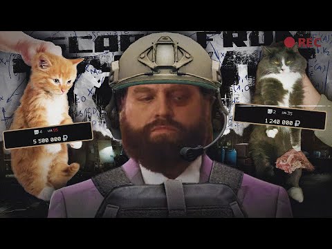 Видео: Выбираем кота в убежище  Тарков