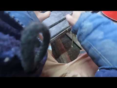 Видео: Обзор вело-прицепа Кузовок