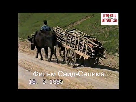 Видео: Центарой  (Ножай-Юртовский район)  Фильм Саид-Селима.