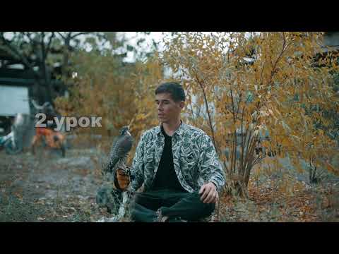 Видео: Ителгини Колго уйротуу 2-урок