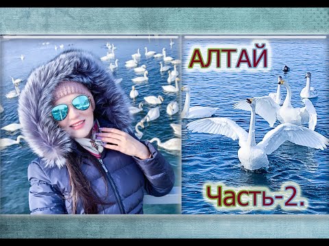 Видео: Алтай / Часть 2 / Лебединое озеро.