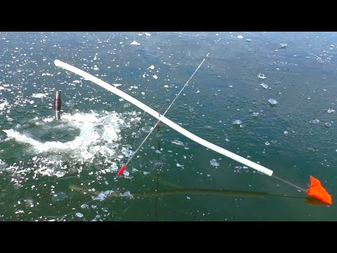 Видео: СООРУДИЛ ЖЕРЛИЦЫ  ЗА 3 КОПЕЙКИ!!! Первый лед 2023-2024. Зимняя рыбалка.