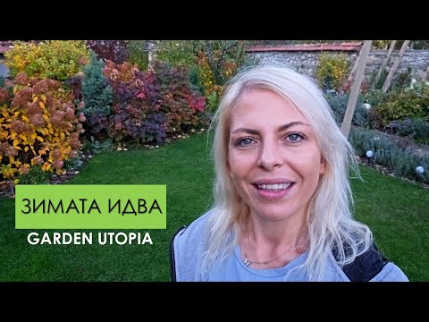 Видео: Вечерната ГРАДИНА в края на ОКТОМВРИ: #Ден 54 от 90 ДНИ НА СЕЛО