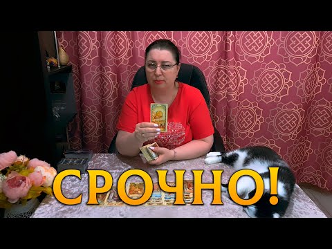 Видео: СРОЧНО! О ЧЕМ ХОТЯТ ПРЕДУПРЕДИТЬ ВЫСШИЕ СИЛЫ?