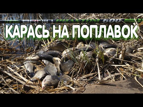 Видео: Весенний карась на поплавок. Дядя Фёдор и самая первая снасть рыбака.