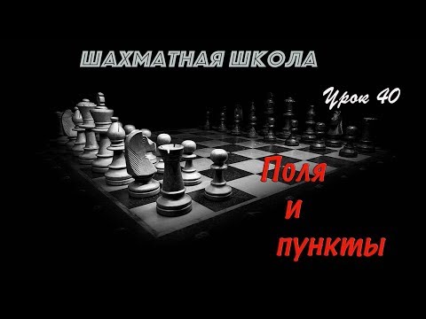 Видео: Урок 40. Поля и пункты