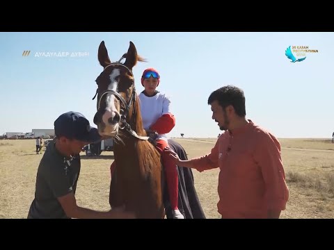 Видео: Толқындай тулаған Ақтолқын! Бәйге. «Дүлдүлдер дүбірі».