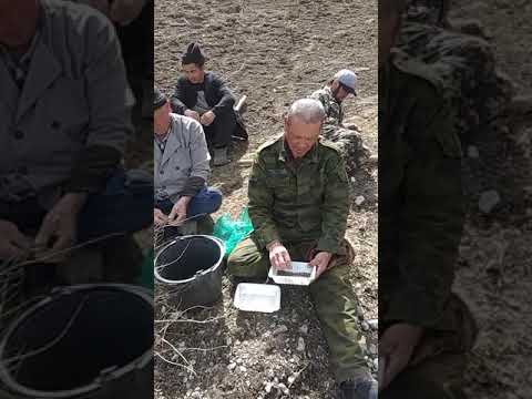 Видео: Баткен областы Лейлек району "Сары-Добо"айылы