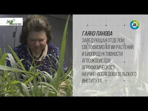 Видео: Эфир программы  "Не фантастика" телеканал Мир 18 декабря 2023 г.