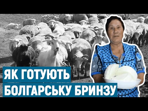 Видео: Як готують бринзу в болгарському селі на Одещині І Голос болгар
