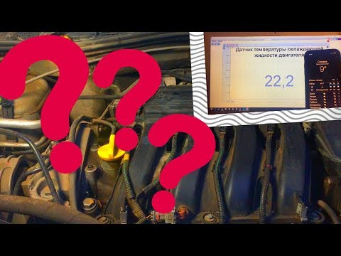 Видео: ДВИГАТЕЛЬ ПОСЛЕ НОЧНОГО ПРОСТОЯ ПЛОХО ЗАПУСКАЕТСЯ И НЕ СТАБИЛЬНО РАБОТАЕТ, А ОШИБКА НЕ ГОРИТ! ЛЕЧИМ