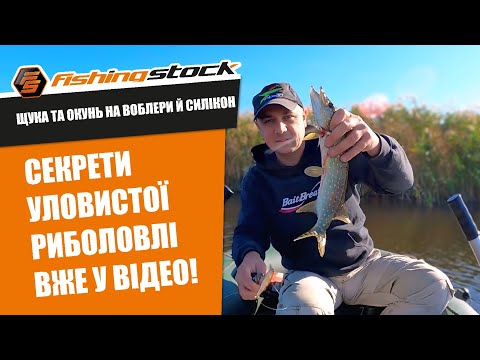 Видео: ⚡ ЯК ЗЛОВИТИ ЩУКУ Й ОКУНЯ ВОСЕНИ? | РИБОЛОВЛЯ НА ВОБЛЕРИ ТА СИЛІКОН | Рибалка на річці Говтва